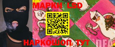 PSILOCYBIN Бугуруслан